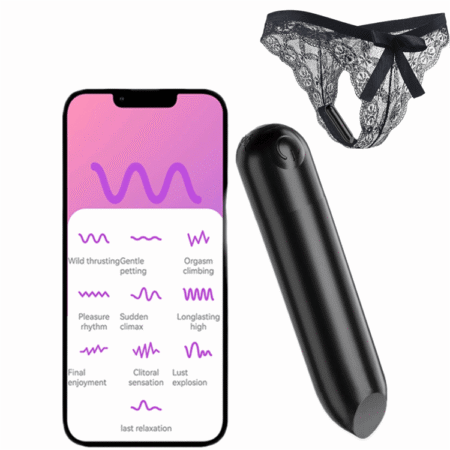 APP Control Bullet Lipstick Vibrator With Panty